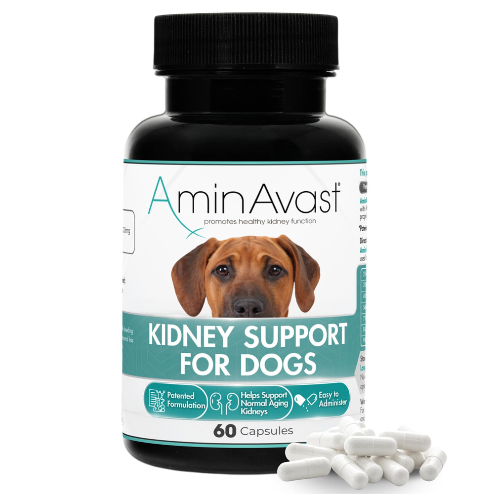 AminAvast dog kidney supplement bottle supports easy daily dosing for aging kidneys.