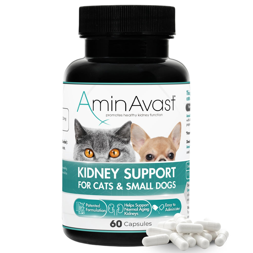 AminAvast kidney-support bottle-front for daily dosing convenience.