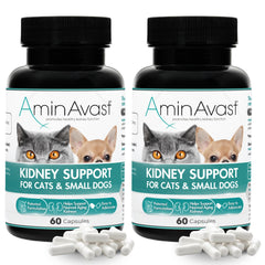 AminAvast kidney-support packaging signals trusted supplement for aging pets