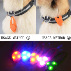 AMNQUERXUS dog-walking night visibility light helps locate pets outdoors.