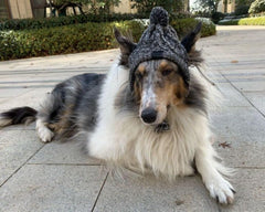 AMOJA Polar Pom Pom Hat gray large side view shows snug fit for active dogs