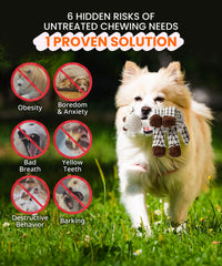 AmorousCat squeaky plush dog toy, white lamb close-up highlighting soft filling.