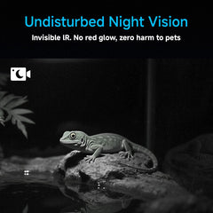 Amouu anti-glare 2K lens ensures clear footage on glossy surfaces