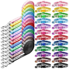 Amylove 48-piece package view shows ready-to-use collars and leashes for convenient daily walks.