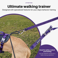 ANAFNI heavy-duty tactical dog leash displays 360-degree rotating carabiner to reduce tangling during busy walks.