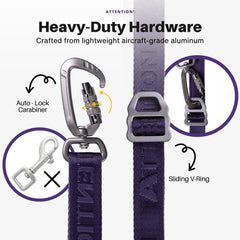 ANAFNI heavy-duty tactical dog leash demonstrates dual-dog mode for paired walks with two dogs.