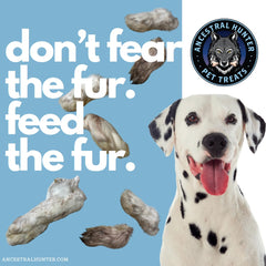 Ancestral Hunter rabbit feet treat pack 12—bulk natural chew option for dogs and cats.