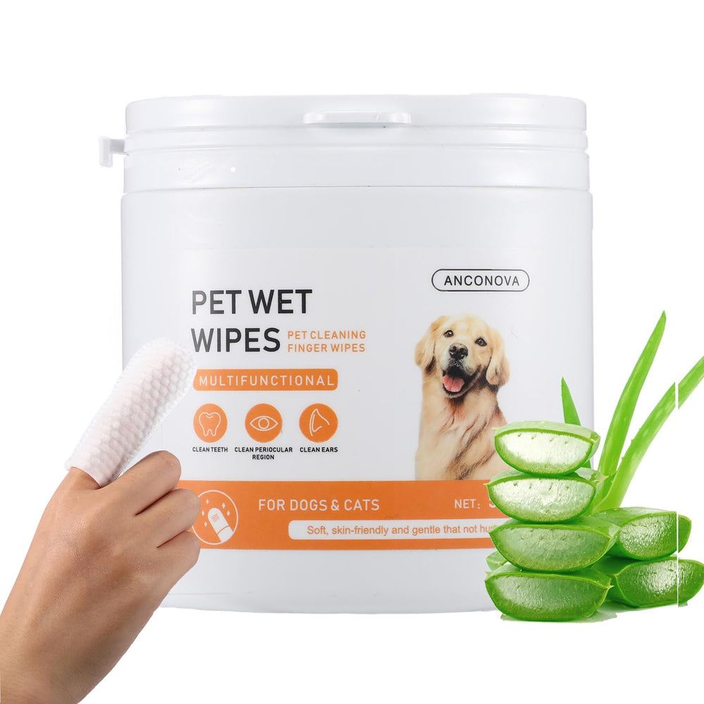 ANCONOVA Pet Teeth Wipes packaging for easy no-rinse dental care on the go.