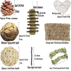 ANDES Bunny Hamsters Chew Toys Set apple-molar-stick close-up shows natural molar-stimulating toy for nibbling