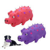 Andiker dog squeaky pig pink closeup for engaging play and durability.