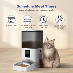 Andoll Home automatic cat feeder 6L top view highlights the lid design to deter stealing.