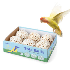 andwe Sola Ball foot-toy closeup for shredding and play