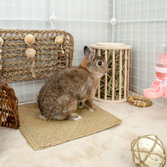andwe hay feeder standing-hay-dispenser mounted in a cage for tidy feeding.