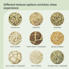 andwe play balls rolling chew toys for guinea pigs offer safe, natural gnawing and enrichment