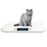 Angel cat-scale flat-top design offers a comfortable, stress-free weighing surface for pets.