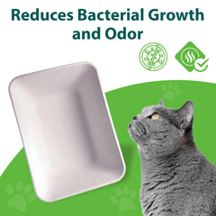 ANGELYCIA durable, leakproof material supports sturdy tray handling.