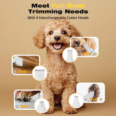 AngFan 4-in-1 heads close-up demonstrating versatile grooming options for dogs and cats