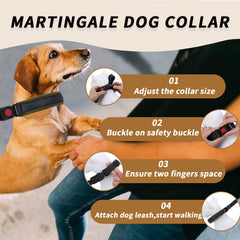 Anglevate Martingale Collar reflective strips increase visibility during night walks