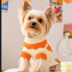 ANIAC fall dog sweater pullover design easy-on-off closeup for hassle-free dressing
