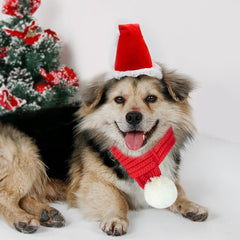 ANIAC pet Santa costume, classic red and white festive dress-up.