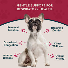 Animal Essentials Breathe EZ label closeup shows alcohol-free, USA-made herbal blend.