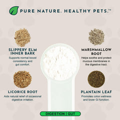 Animal Essentials Colon Rescue herbal blend ingredients like marshmallow root and slippery elm for GI comfort