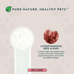Animal Essentials Sea-Cal powder for cats added to a bowl for supplementation
