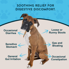 Animal Essentials Slippery Elm drops pour shows easy dosing for dogs and cats.