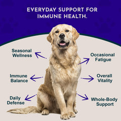 Animal Essentials Super Immune dropper demonstrates convenient administration for pets.