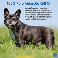Animal Pharmaceuticals Krillex Rimoxen formula indicating inflammation support.
