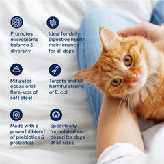 AnimalBiome Cat Probiotics mixing-treats scene suggests convenient dosing with treats.