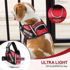 Animire dog patches variety display shows DO NOT PET and IN TRAINING.
