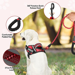 Animire in training patches Velcro on harness shows two patches