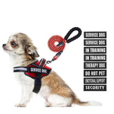 Animire service dog harness patches display for safety messages during training.