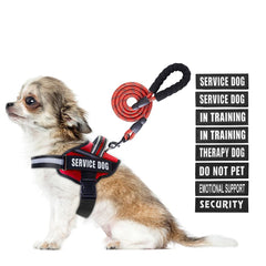 Animire service dog harness patches display for safety messages during training.
