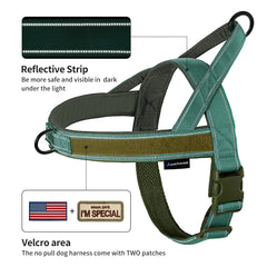 Annchwool No Pull Harness back and chest straps provide breathable comfort on long sessions.