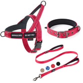 Annchwool No Pull Harness with reflective strips for safer dusk walks.
