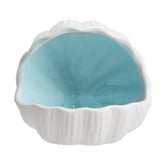 AnRui conch shell ornament closeup showing smooth glaze for fish safety