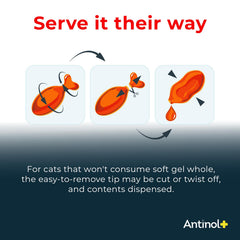 Green-lipped mussel oil ingredient used in Antinol Plus