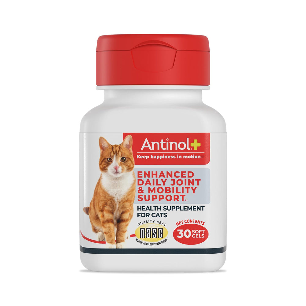 Antinol Plus soft gels close-up showing easy administration and potential joint support