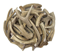 Antler Man Premium Deer Antler Pieces close-up crunch shows durable chewing texture.