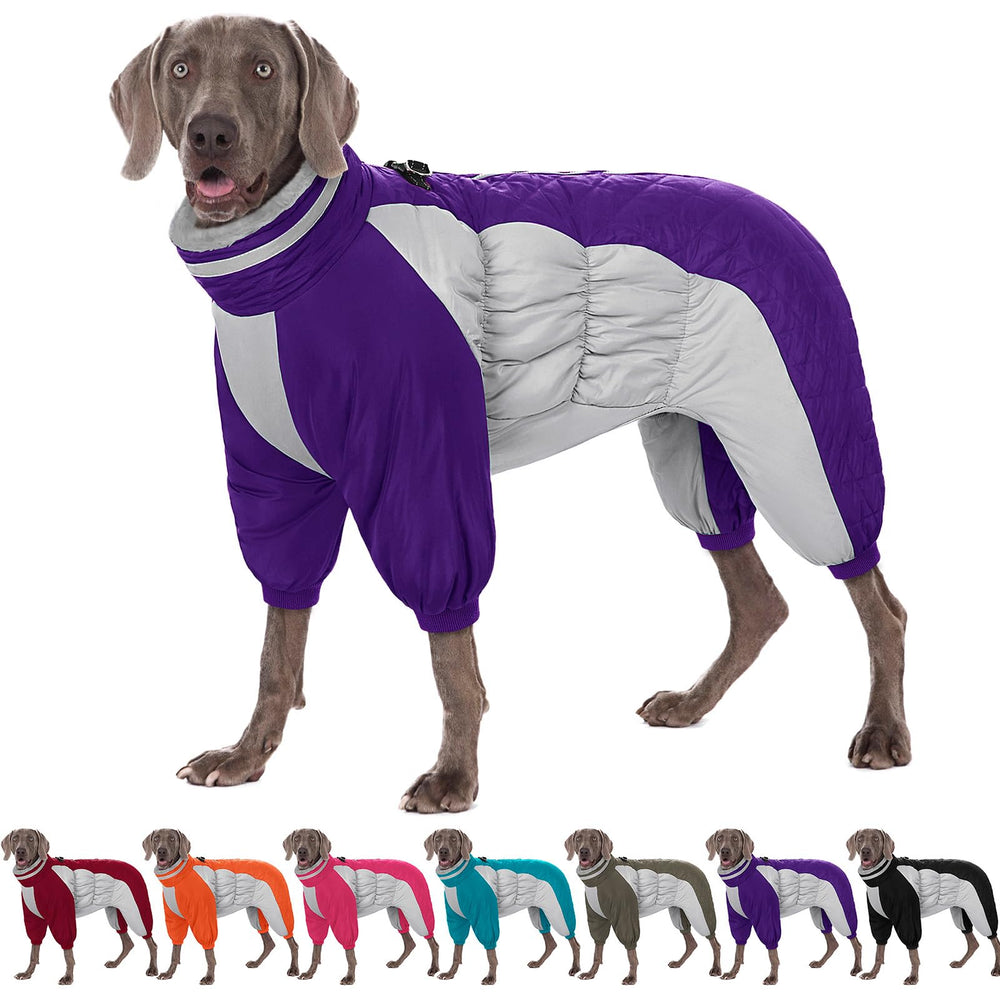 AOFITEE dog coat winter back view showing full coverage warmth for cold days.