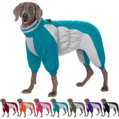 AOFITEE fullbody dog coat back view shows warmth and full coverage for chilly walks.