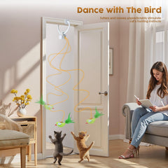 Aoioploa automatic-play-rest-cycle provides paced activity for ongoing enrichment.