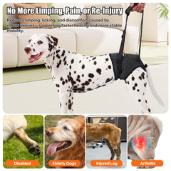 AOOLMOL dog sling padded handle reduces hand fatigue during long use