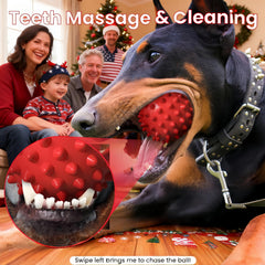 Apasiri 15mm-thick rubber: extra durable for aggressive chewers