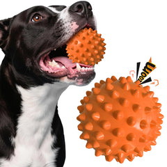 Apasiri peanut-flavor dog ball outer shot shows durable rubber for aggressive chewers