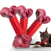 Apasiri tough dog chew toy nylon ends for aggressive chewers with durable design.