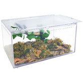 Apatal terrarium front view demonstrates a compact enclosure suitable for small reptiles.