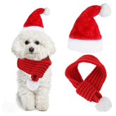 Apausvcm Christmas Cat Santa Hat close-up showing festive detail and adjustable fit.